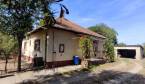 3233619